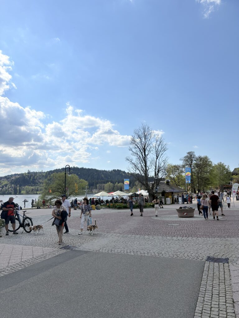 德國咕咕鐘小鎮特里堡Triberg-餐廳/住宿/景點推薦 15 Titisee 蒂蒂湖風景