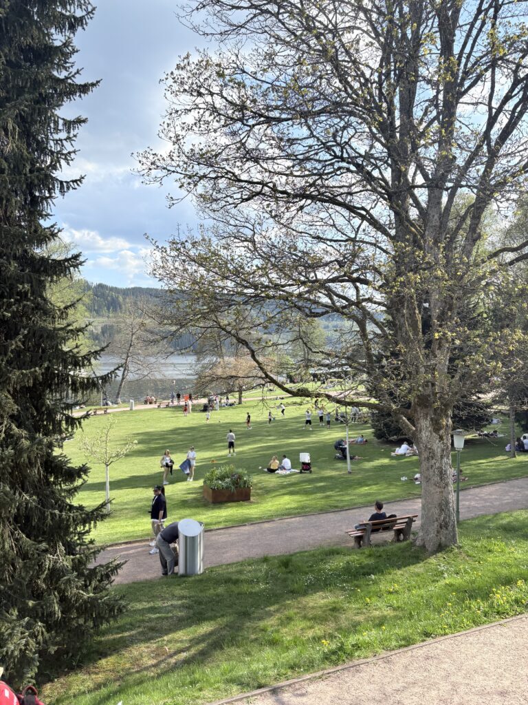德國咕咕鐘小鎮特里堡Triberg-餐廳/住宿/景點推薦 13 Titisee 蒂蒂湖風景