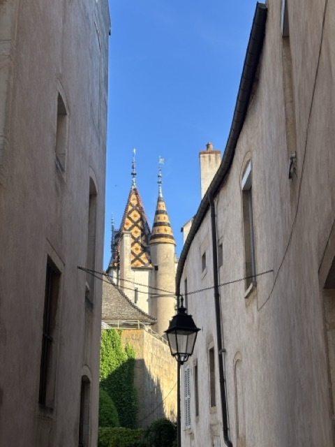 法國勃艮第區景點 博訥 Beaune 法國博訥主宮醫院