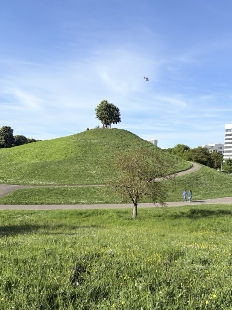 德國Karlsruhe卡魯斯魯爾|交換生帶你走進當地人的生活~ 16 Mount Klotz Günther-Klotz-Anlage Karlsruhe 公園 Europahalle/Europabad 山丘