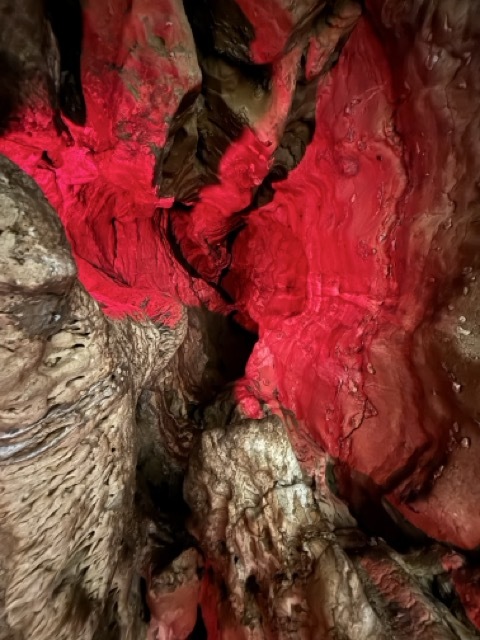 法國里昂附近景點|法國Les Grottes de La Balme天然神秘洞穴,帶你一探究竟! 9 法國Les Grottes de La Balme 法國天然神秘洞穴 法國里昂附近景點
蝙蝠洞穴